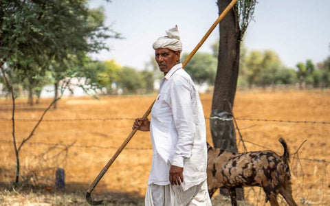 30 Weird and Wonderful Facts About Coffee - Hessian Coffee & Vending