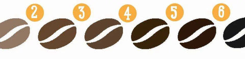 Decoding Coffee Intensity Levels