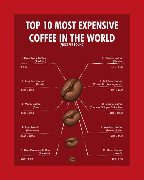 The World's Top 10 Most Expensive Coffees: A Connoisseur's Guide - Hessian Coffee & Vending