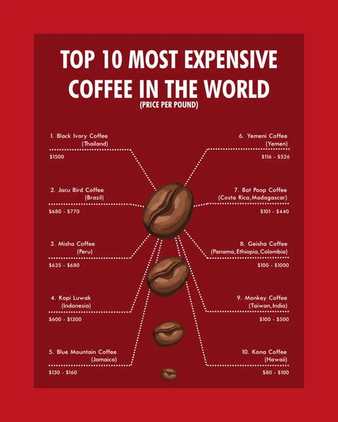 The World's Top 10 Most Expensive Coffees: A Connoisseur's Guide - Hessian Coffee & Vending