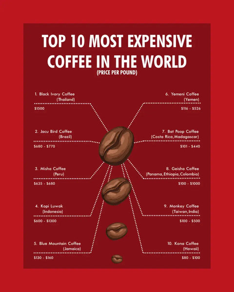 The World's Top 10 Most Expensive Coffees: A Connoisseur's Guide - Hessian Coffee & Vending